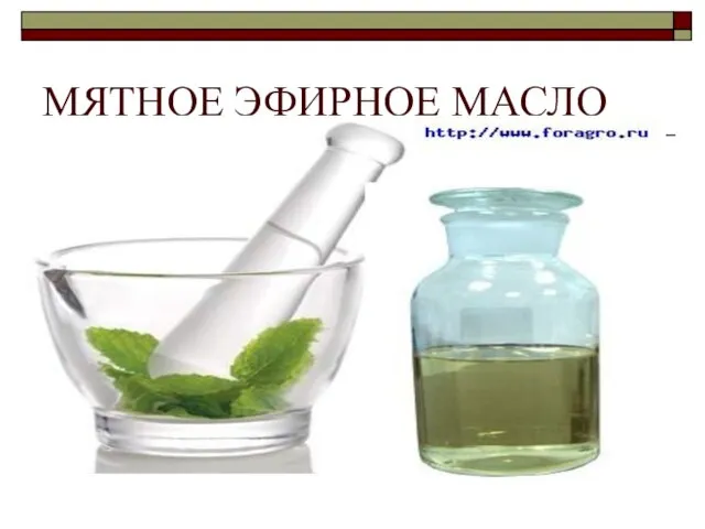 МЯТНОЕ ЭФИРНОЕ МАСЛО