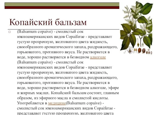 Копайский бальзам (Balsamum copaive) - смолистый сок южноамериканских видов Copaiferae -