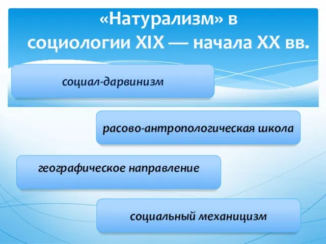 «Натурализм» в социологии XIX — начала XX вв. социал-дарвинизм расово-антропологическая школа географическое направление социальный механицизм