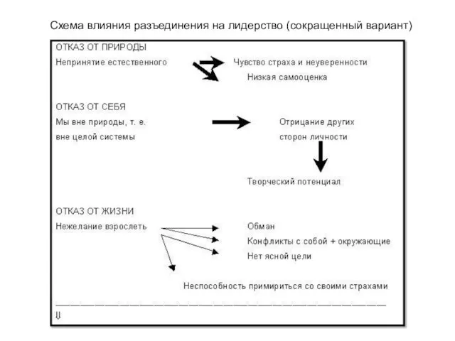 Схема влияния разъединения на лидерство (сокращенный вариант)