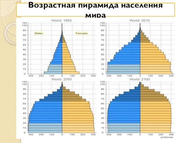 Возрастная пирамида населения мира