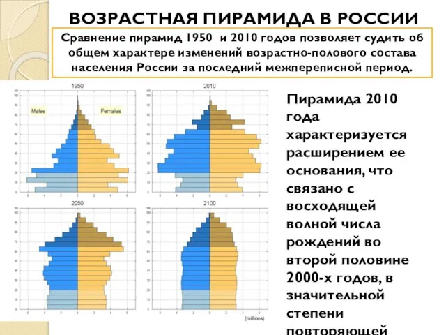 ВОЗРАСТНАЯ ПИРАМИДА В РОССИИ Сравнение пирамид 1950 и 2010 годов позволяет