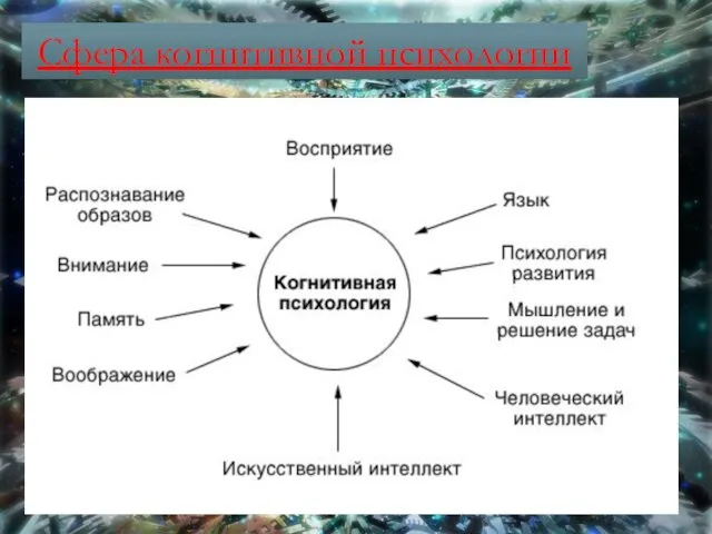 Сфера когнитивной психологии