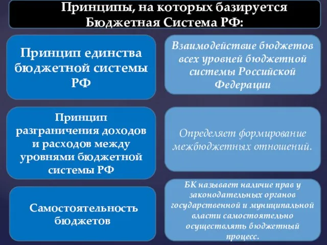 Принципы, на которых базируется Бюджетная Система РФ: Принцип единства бюджетной системы