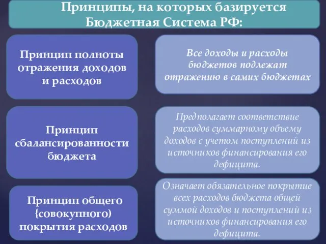 Принципы, на которых базируется Бюджетная Система РФ: Принцип полноты отражения доходов