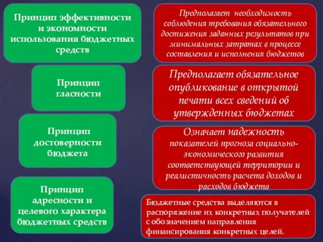 Принцип эффективности и экономности использования бюджетных средств Принцип гласности Принцип достоверности