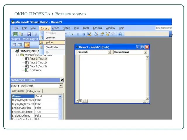 ОКНО ПРОЕКТА : Вставка модуля