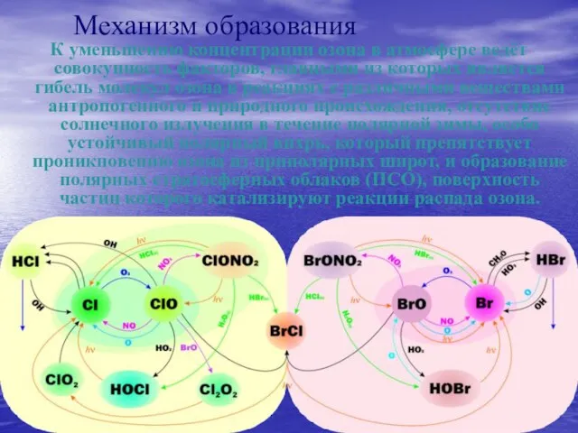 Механизм образования К уменьшению концентрации озона в атмосфере ведёт совокупность факторов,