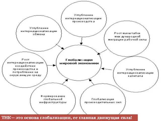 ТНК— это основа глобализации, ее главная движущая сила!