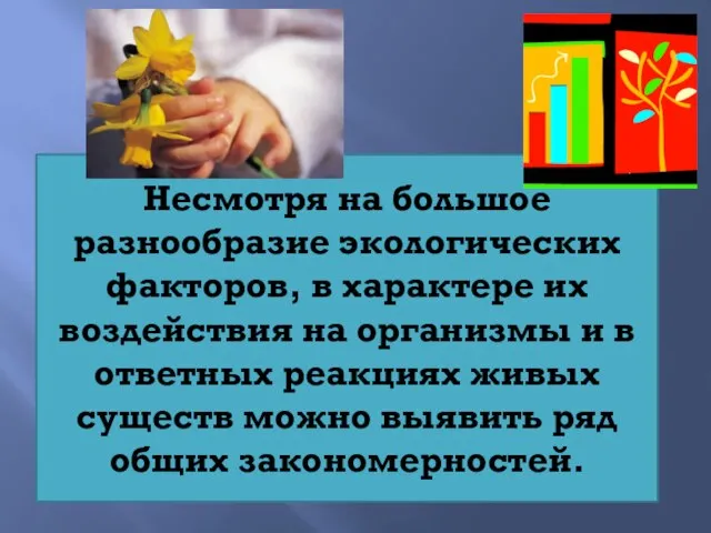 Несмотря на большое разнообразие экологических факторов, в характере их воздействия на