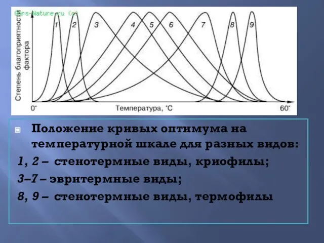 Положение кривых оптимума на температурной шкале для разных видов: 1, 2