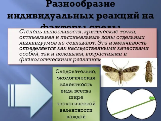 Разнообразие индивидуальных реакций на факторы среды Степень выносливости, критические точки, оптимальная