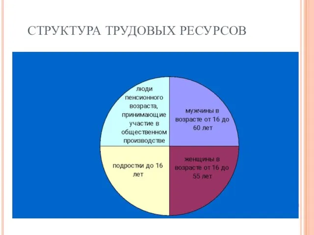 СТРУКТУРА ТРУДОВЫХ РЕСУРСОВ