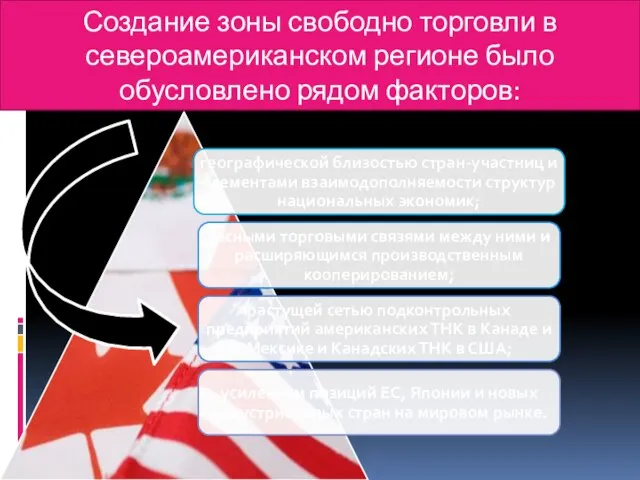 Создание зоны свободно торговли в североамериканском регионе было обусловлено рядом факторов: