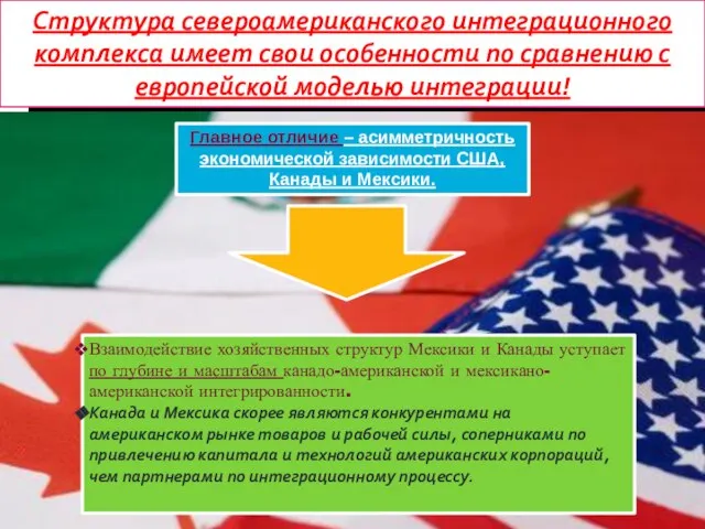 Структура североамериканского интеграционного комплекса имеет свои особенности по сравнению с европейской