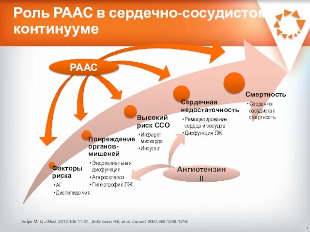 Роль РААС в сердечно-сосудистом континууме Volpe M. Q J Med. 2012;105:11-27.