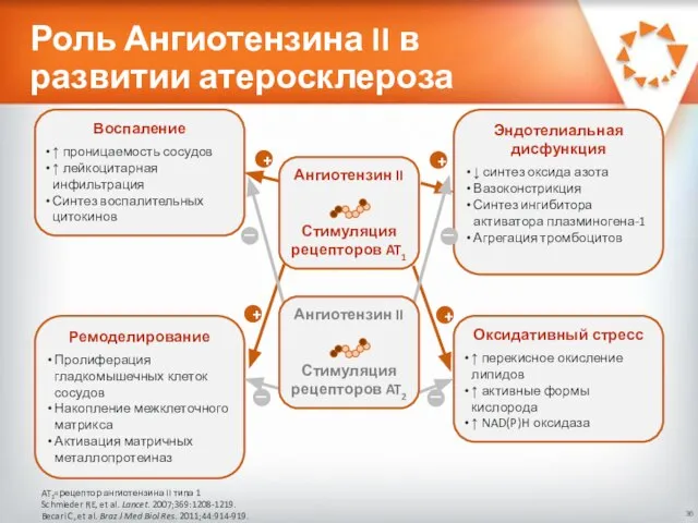 Роль Ангиотензина II в развитии атеросклероза AT1=рецептор ангиотензина II типа 1