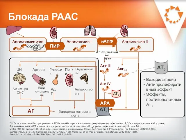 Блокада РААС ПИР= прямые ингибиторы ренина; иАПФ= ингибиторы ангиотензинпревращающего фермента; АДГ=