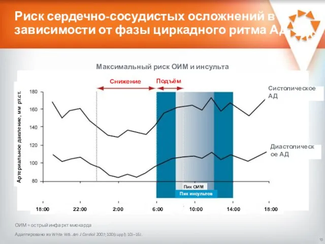 Риск сердечно-сосудистых осложнений в зависимости от фазы циркадного ритма АД Адаптировано