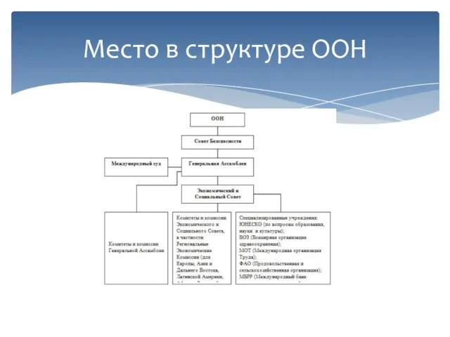 Место в структуре ООН