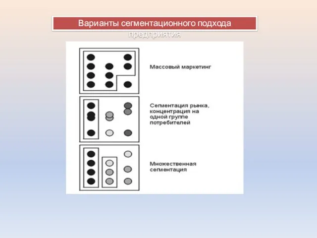 Варианты сегментационного подхода предприятия