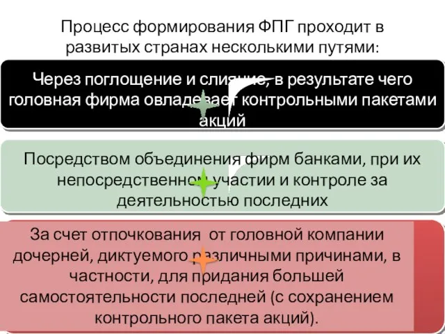 Процесс формирования ФПГ проходит в развитых странах несколькими путями: Посредством объединения