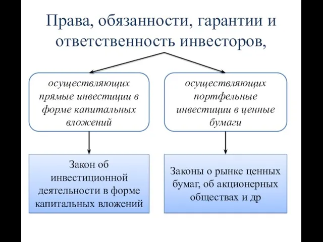 Права, обязанности, гарантии и ответственность инвесторов, осуществляющих прямые инвестиции в форме