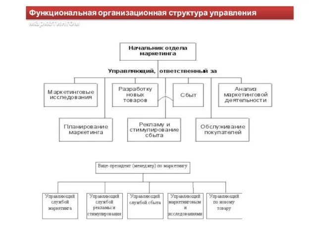 Функциональная организационная структура управления маркетингом