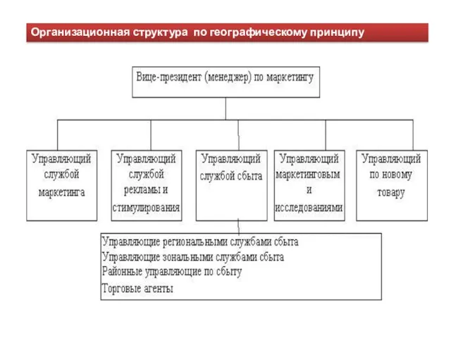 Организационная структура по географическому принципу