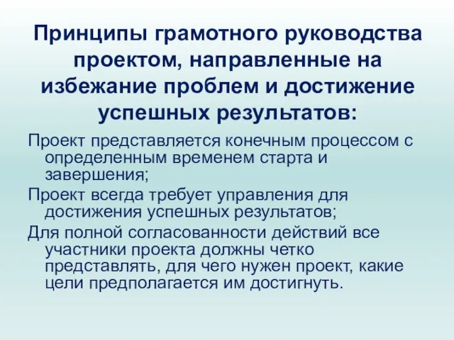 Принципы грамотного руководства проектом, направленные на избежание проблем и достижение успешных