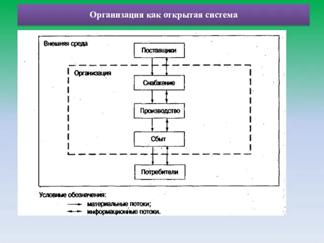 Организация как открытая система