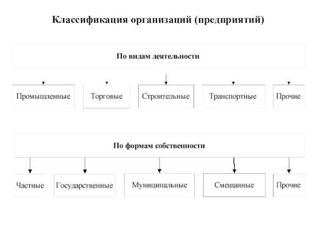 Классификация организаций (предприятий)