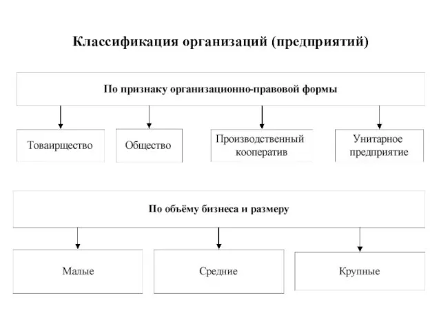 Классификация организаций (предприятий)