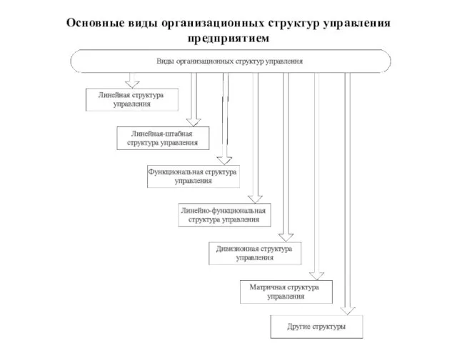 Основные виды организационных структур управления предприятием