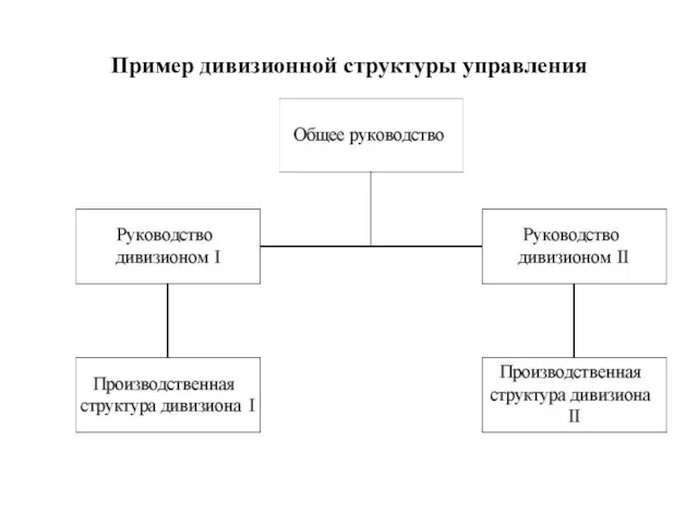 Пример дивизионной структуры управления