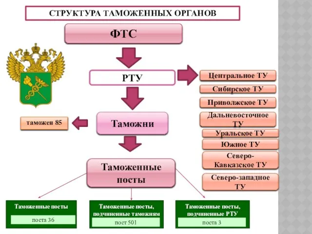 ФТС Центральное ТУ Дальневосточное ТУ Приволжское ТУ Южное ТУ Сибирское ТУ