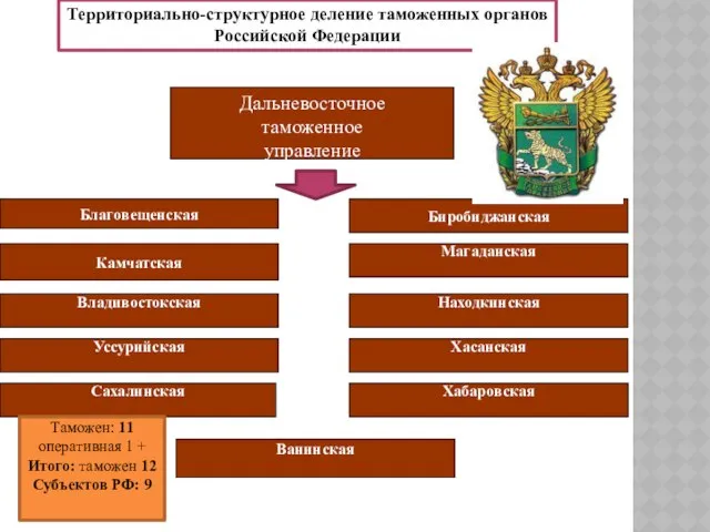 Территориально-структурное деление таможенных органов Российской Федерации Дальневосточное таможенное управление Благовещенская Биробиджанская