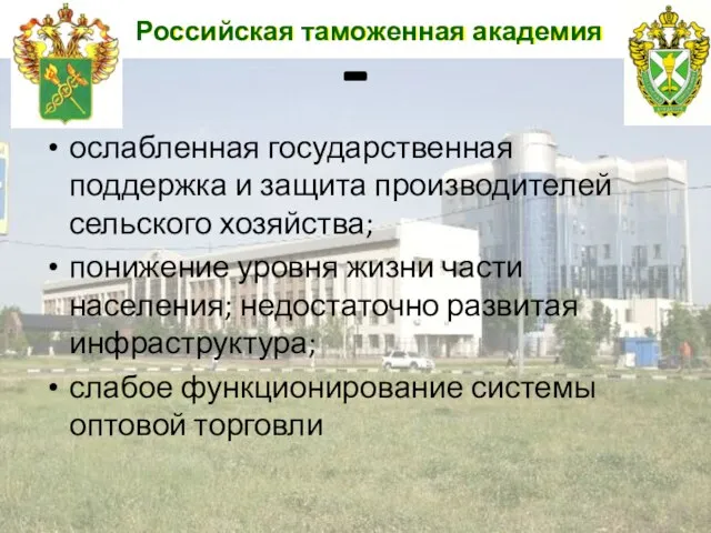 Российская таможенная академия - ослабленная государственная поддержка и защита производителей сельского