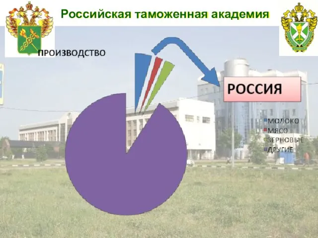 Российская таможенная академия