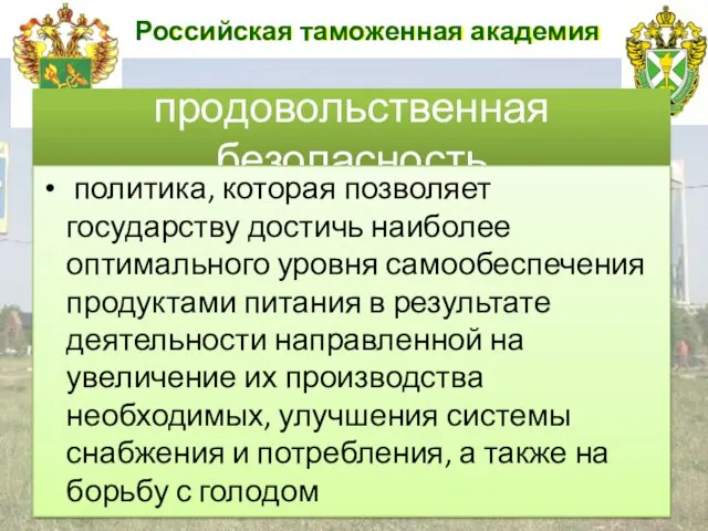 Российская таможенная академия продовольственная безопасность политика, которая позволяет государству достичь наиболее