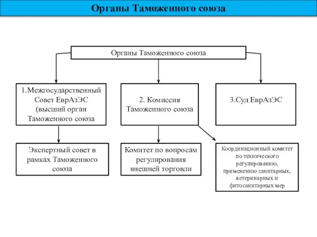 Органы Таможенного союза Органы Таможенного союза 1.Межгосударственный Совет ЕврАзЭС (высший орган