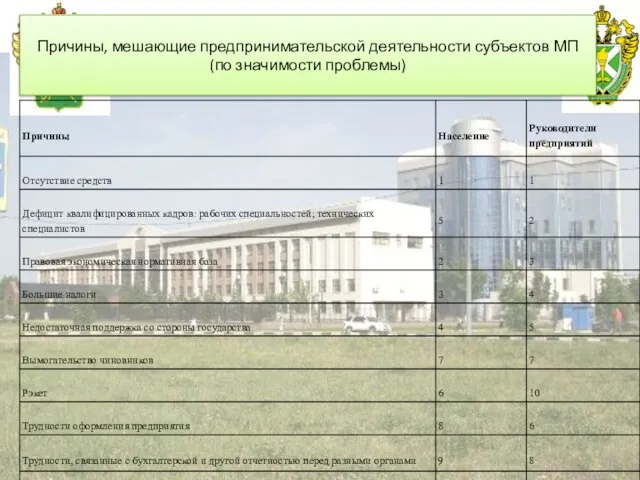 Российская таможенная академия Причины, мешающие предпринимательской деятельности субъектов МП (по значимости проблемы)