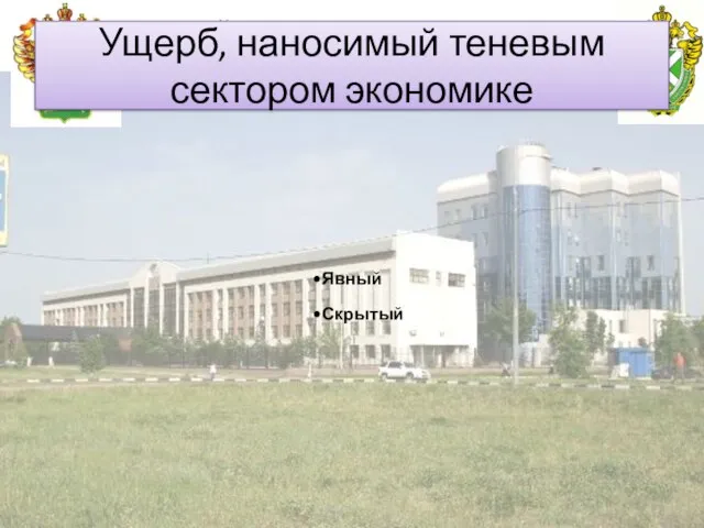Российская таможенная академия Ущерб, наносимый теневым сектором экономике