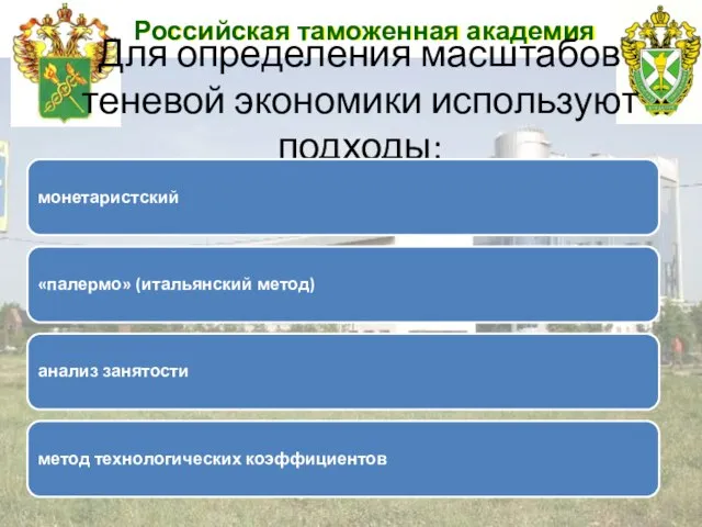 Российская таможенная академия Для определения масштабов теневой экономики используют подходы: