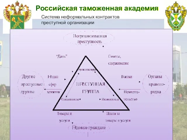 Российская таможенная академия Система неформальных контрактов преступной организации