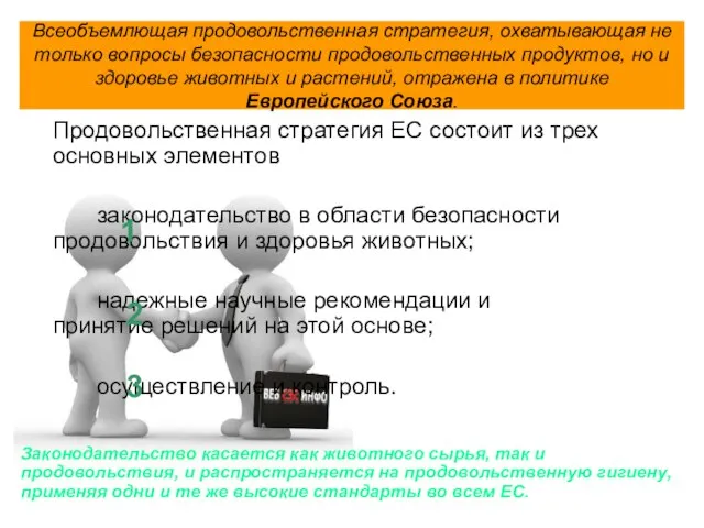 Всеобъемлющая продовольственная стратегия, охватывающая не только вопросы безопасности продовольственных продуктов, но