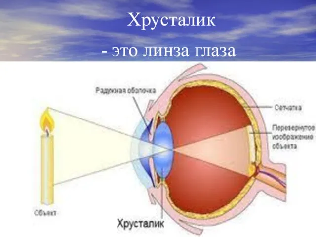 Хрусталик - это линза глаза