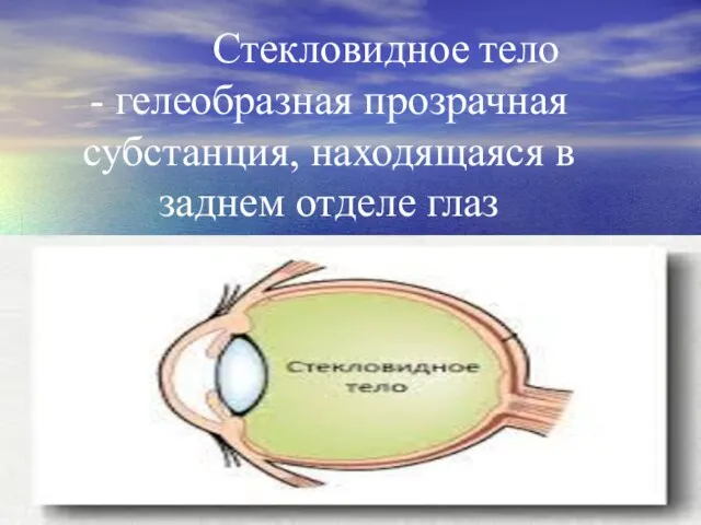 Стекловидное тело - гелеобразная прозрачная субстанция, находящаяся в заднем отделе глаз