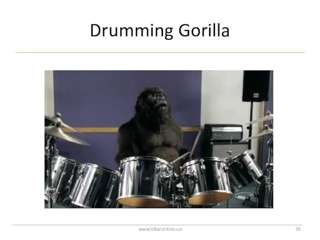 Drumming Gorilla www.VBond.Kiev.ua