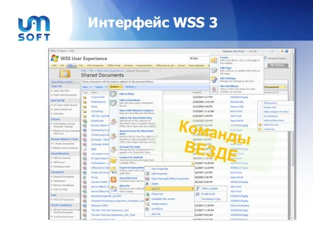 Интерфейс WSS 3